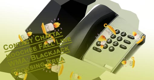 Blackjack phone line